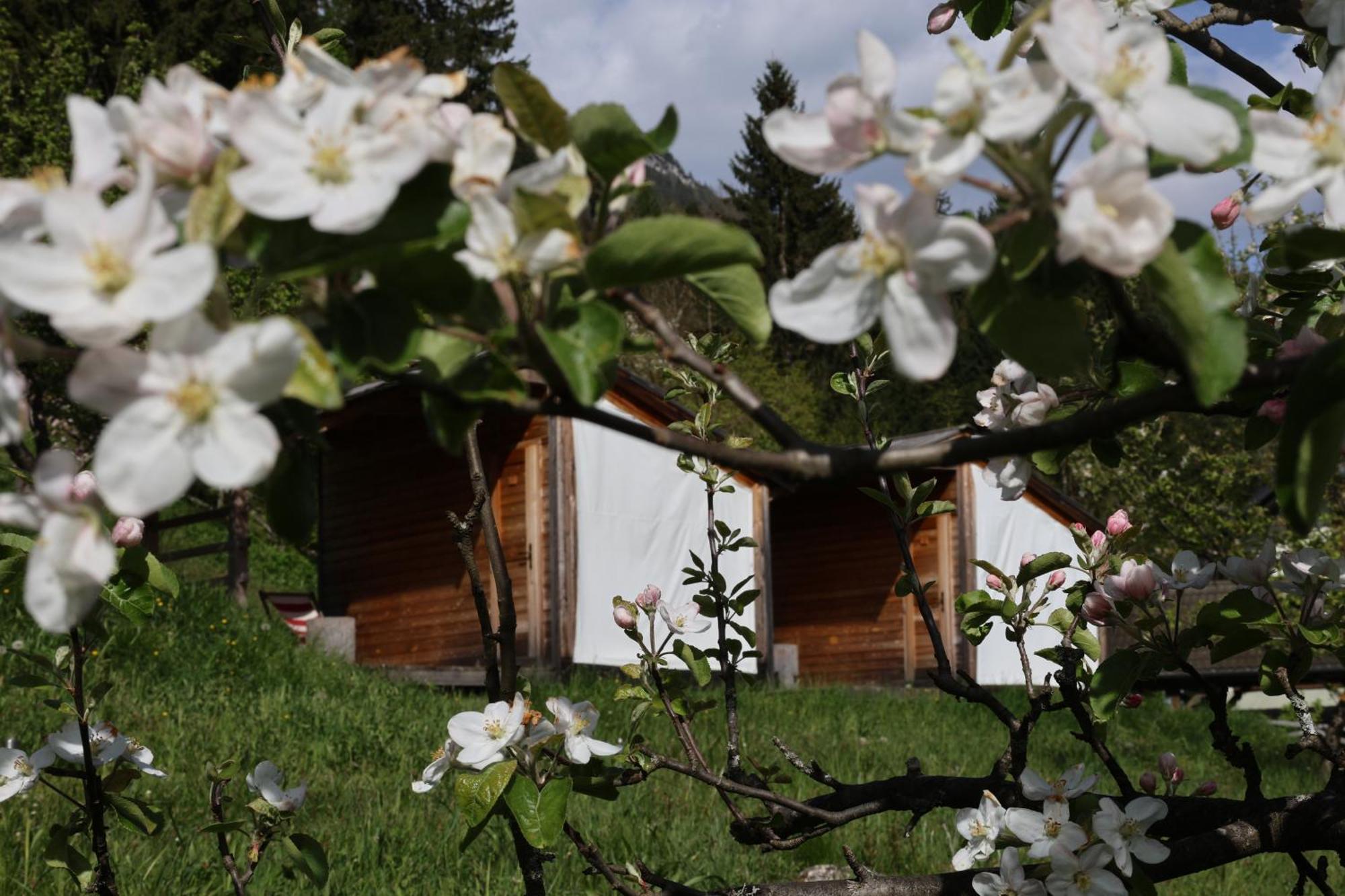 Mountain View Glamping Villa Dovje Eksteriør bilde