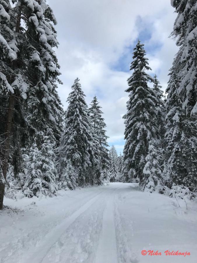 Mountain View Glamping Villa Dovje Eksteriør bilde